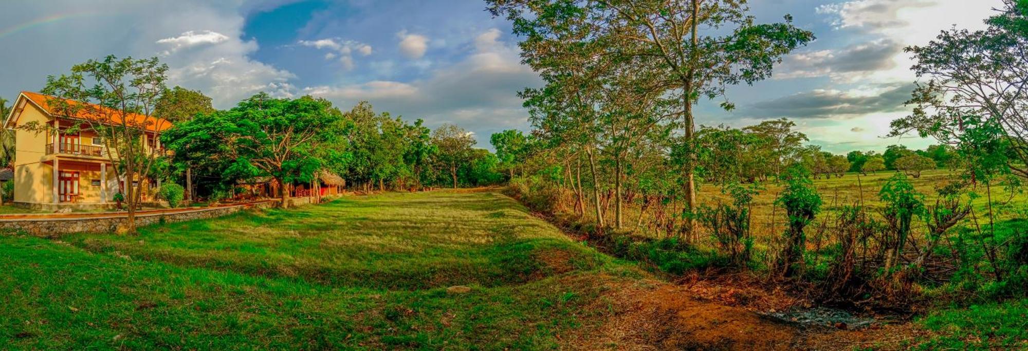 Sigiri Lanka Resort Sigirija Zewnętrze zdjęcie