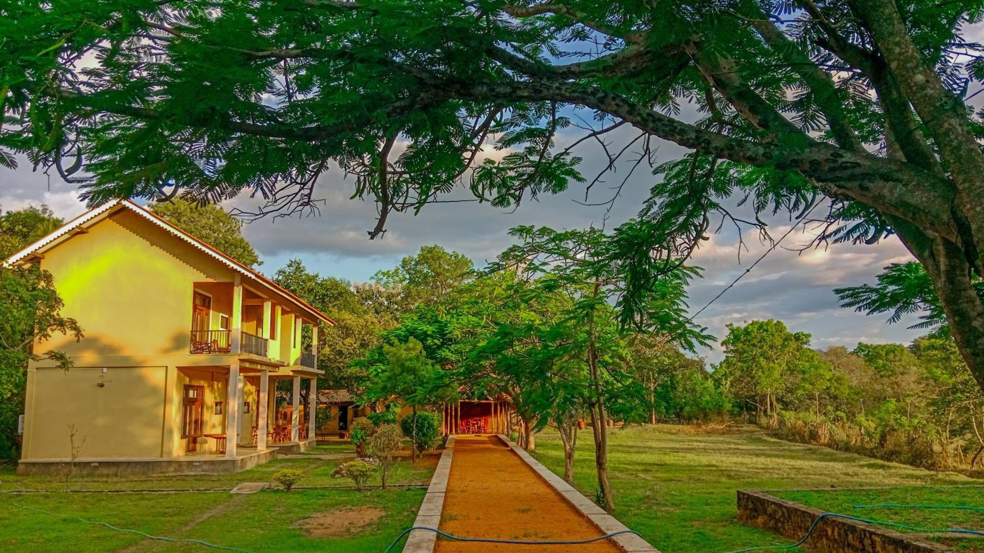 Sigiri Lanka Resort Sigirija Zewnętrze zdjęcie
